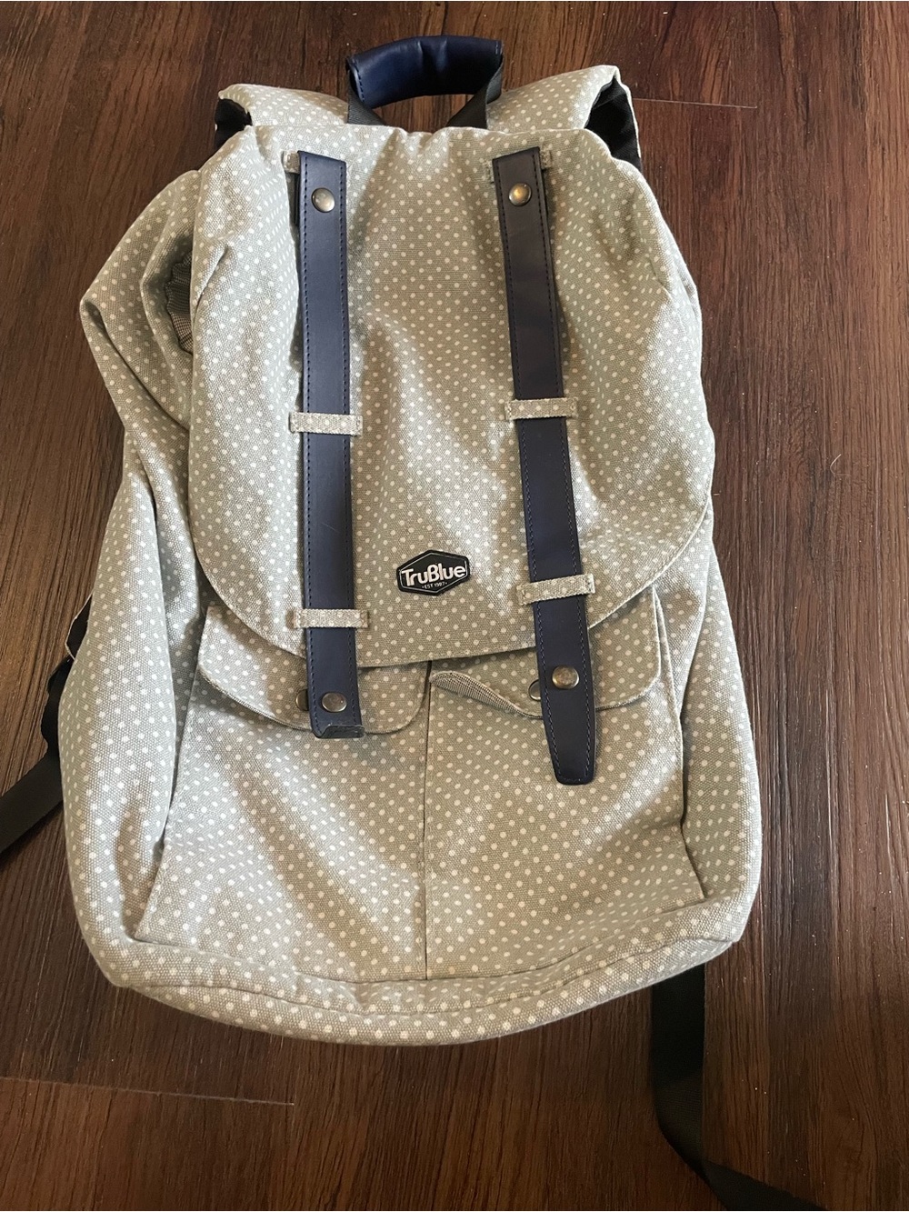 Polka Dot Light Gray Backpack with protective laptop compartment